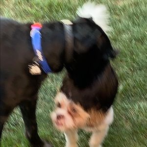 Meet your Posher, Jake